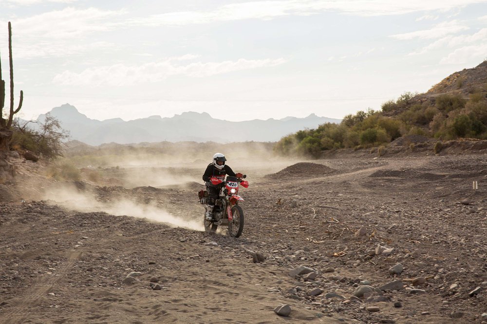 Frijole-883-Norra-1000-Action